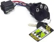 Genuine OEM Briggs & Stratton 7600215yp Ignition Switch Kit
