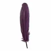 Goose Pointer Feathers 10 grams - Dusty Mauve