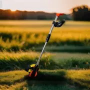 NEW 20v Cordless LI-ION Battery Grass Trimmer/Weed Wacker Edger (Tornado Tools)