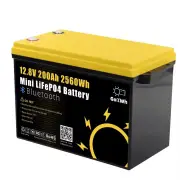 Gokwh 12V 200Ah Mini Bluetooth LiFePO4 Battery Built-in Bluetooth BMS 2560Wh LiFePO4(LFP)IP65 Protection