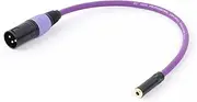 ROBAUN 3.5mm (1/8) Mini Stereo to XLR Cable Female to Male Professional Audio Cable Microphone Speaker Sound Consoles Amplifier(Purple,5M)