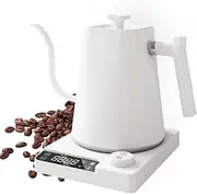 1L Electric Gooseneck Kettle for Coffee and Tea, Fast Boil, 1200W Water Boiler, Stainless Steel Water Boiler, Temperature Control, White & Black (white)