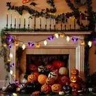30 LEDs Halloween String Lights Indoor Outdoor Window Front Porch Decor