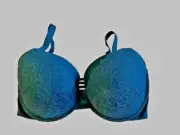 SOMA BRA Dark Forest 44DD Stunning Push Up Lace Bra Padded Satin NEW