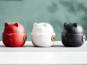 Cute Portable Ceramic Tea Set Travel Case Teapot Chinese Lucky Cat Ears Tea Cup