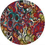 Slipmat Slip Mat Scratch Pad Felt for any 12" LP DJ Vinyl Turntable Record Player Custom Graphical - Cells 1