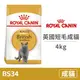 【法國皇家 Royal Canin】FBN 皇家英國短毛成貓BS34 4公斤(貓飼料)