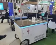 Ice Cream Gelato Popsicle Freezer Hand Push Cart