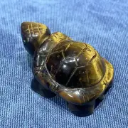 1.5" Natural Tiger eyesThe tortoise Carved Skull Quartz Crystal Skull Healing1pc