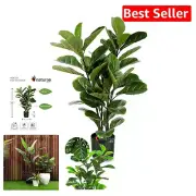 Beautiful 35” Lifelike Fiddle Leaf Tree - Indoor/Outdoor, Low Maintenance Design