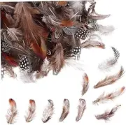 HAPINARY Crafting Plumes 300pcs Mixed for DIY Projects Home Decor Wedding Party Clothing