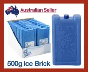 500g Ice Brick Reusable Pack Chilli Fridge Freezer Sports Kids Adults Small Blue
