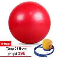 在飛比找蝦皮購物優惠-正品 BALL GYM 瑜伽球 + 帶球泵