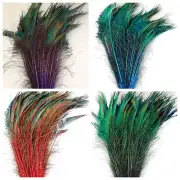 Dyed Feather PEACOCK SWORDS 10-25" In Many Colors; Costume/Hats/Halloween