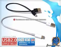 在飛比找Yahoo!奇摩拍賣優惠-【浮若生夢SHOP】蘋果 Lightning To USB 