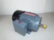 BRAND NEW Brook Hansen 1HP 3-Phase AC Motor, S813308 3600RPM 1422105-00...I99