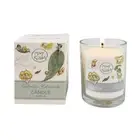 Urban Australian Botanicals May Gibbs 150g Soy Blend Glass Candle Green/Yellow
