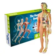 Simulation Human Skeleton Model Teaching Set DIY Assembled Handmade Puzzle Toy