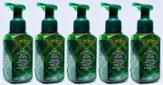 5 Bath & Body Works FRESH BALSAM Gentle Foaming Hand Soap 8.75 oz