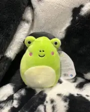 Halloween Squishmallows 5" Tomas the Frog Witch