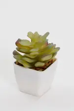 Green Artificial Potted Cactus - Size ONE, Women's Decorations