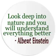 Look Deep Into Nature Albert Einstein Quote - 100 Pack Circle Stickers 3 Inch
