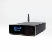 M1b Standard USB Flash Drive Lossless Audio Player Support Remote Control