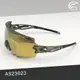 【下殺↘】ADISI 偏光太陽眼鏡 AS23023 / 透明霧綠框 (茶色片)+金色REVO鍍膜
