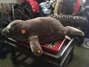 Steiff Manatee