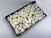 2Boxes Dental Tooth Temporary Crowns Material Anterior Teeth Crown Veneers