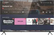 "HYUNDAI 55"" UHD Tizen QLED Smart TV 2024"