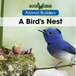A BIRD’S NEST
