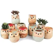 Set of 12 Owl Ceramic 2.5 Inch Succulent Planter Pots with Drainage Hole