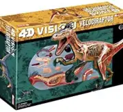 Velociraptor Dinosaur 4D Master Vision Anatomy Model 29 Parts Plus Display Stand