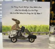 Enjoy your free ride -Pebble art,paint,craft,original from Miranda P. 12/12/1