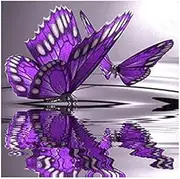 Butterfly Round Diamond Painter Decorates The Wall with Picture Home/Hotel/Office Decoration & Gift