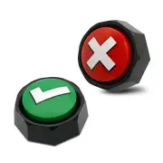 Right Wrong Button, Sound Buzzers Set of 2 Assorted Colored Buzzers, Easy to