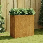 Raised Garden Bed, Elevated Planter Box Plant Container 40x80x80 cm Corten Steel