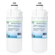 Swift Green SGF-96-14 CTO-S-B Replacement water filter for Everpure EV9691-86