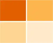 16X20" CTO Lighting Gels for Photography - Orange Color Correction Filters