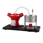 Mini Steam Engine Model Physical Science DIY Kits Educational Toy