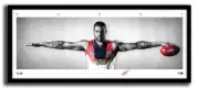 LANCE FRANKLIN MINI WINGS SYDNEY SWANS FC AFL PRINT SIGNED FRAMED MEMORABILIA