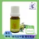 【Phoenix 菲馜思】綠花白千層單方純精油10ml/1入(香氛薰香/清潔消毒/泡澡沐浴)