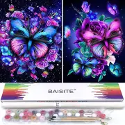 BAISITE Paint by Numbers Kit for Adults Beginners,12" Wx16 L 2 Pack Canvas