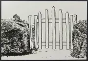 Animal Chipmunk by David Howell Frameable Art New Postcard Unposted
