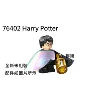 在飛比找蝦皮購物優惠-【群樂】LEGO 76402 人偶 Harry Potter