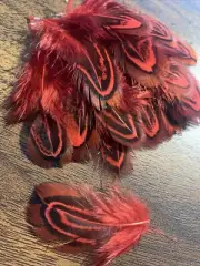 20pcs Natural Almond Red Real Pheasant Feathers DIY Craft Millinery Jewellery