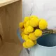 進口乾燥天然黃金球-乾燥花圈 乾燥花束 不凋花 拍照道具 手作素材 室內擺飾 乾燥花材 裝飾插花鄉村 (9.1折)
