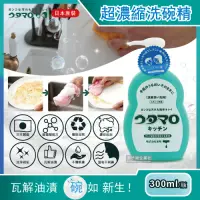 在飛比找Yahoo奇摩購物中心優惠-日本Utamaro東邦歌磨-魔法廚房食器清潔劑超濃縮洗碗精(