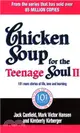 Chicken Soup For The Teenage Soul II：101 more stories of life, love and learning